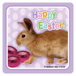 Happy Easter Animal Photos Asst. Stickers