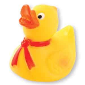 Rubber Ducky Squirt Toys