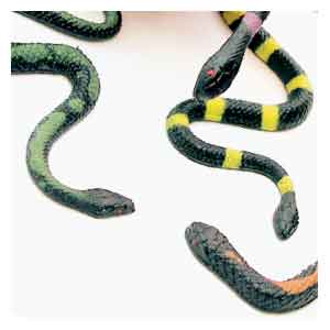 Soft Stretchy Snake Toys