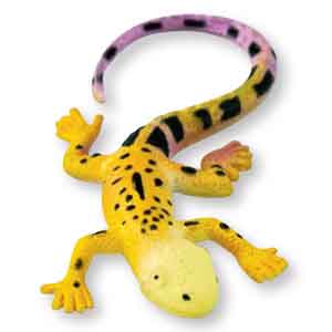 Stretchy Painted Lizard Toys